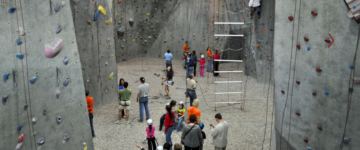 Untitled design (93)